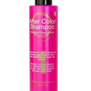 After Color Shampoo mantenimento colore HAIR ON OFF